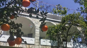 House Orange Apartments